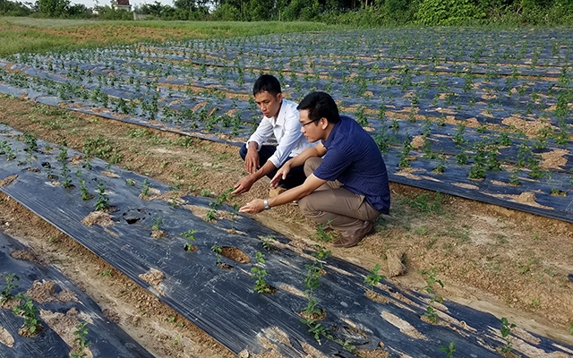 5 quy định pháp luật mới có hiệu lực thi hành từ tháng 8/2019