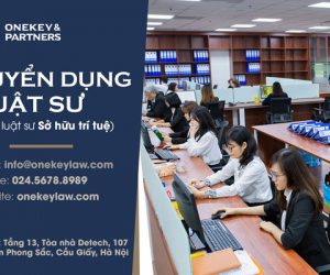 Onekey & Partners tuyển dụng vị trí Luật sư lĩnh vực Sở hữu trí tuệ