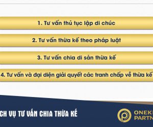 Tư vấn chia thừa kế