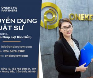 Onekey & Partners tuyển dụng vị trí Luật sư tư vấn pháp luật Bảo hiểm